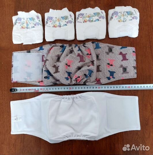 Обувь, бейсболка, сумка, пояс для собак