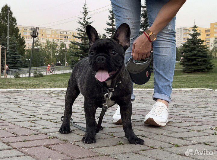 Интересный парень