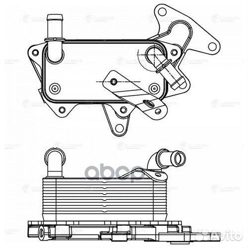 LOC 1832 радиатор масляный VW Polo 05/Skoda R