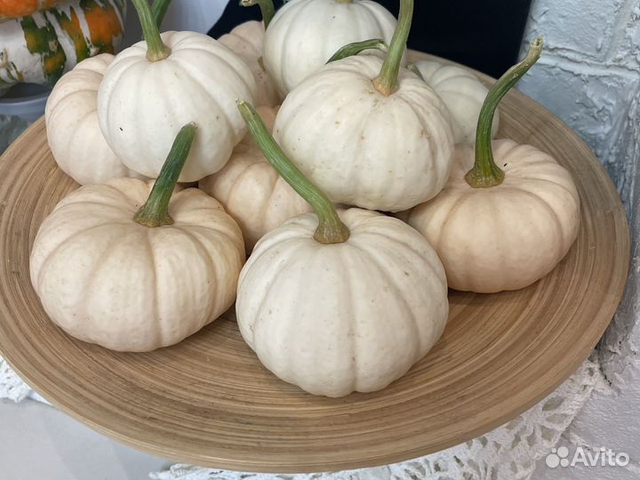 Тыква декоративная