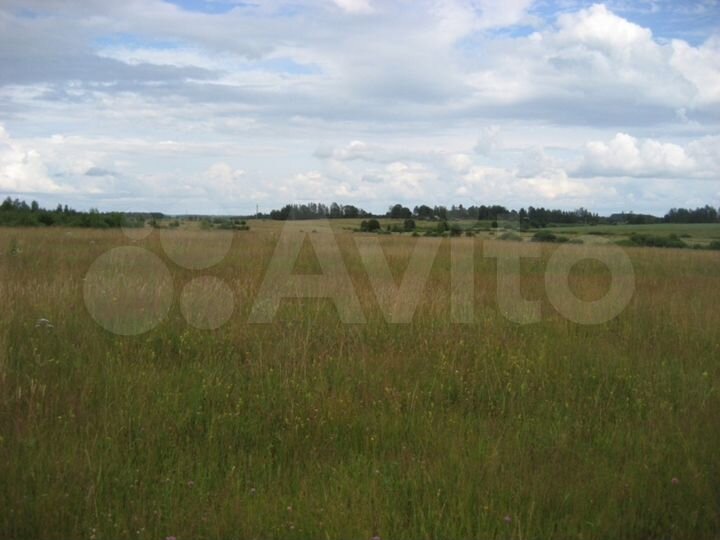 Участок 37,52 га (ИЖС)