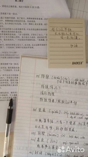 Учитель китайского языка