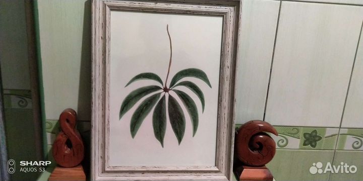 Картины птицы листья ракушки