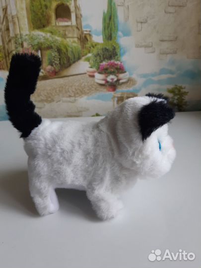 Интерактивный котенок