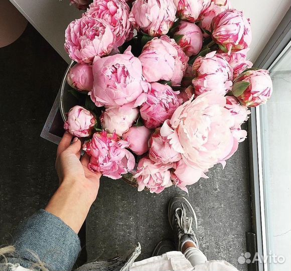 Пышные пионы с беспл. доставкой