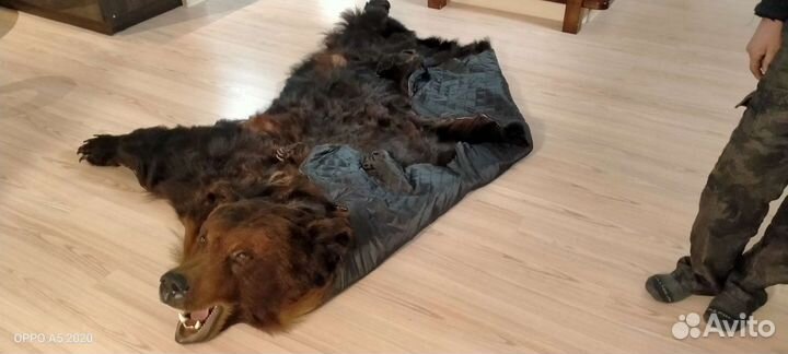 Шкура медведя имитация