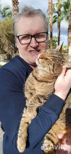 Ремонт стиральных машин и холодильников, сплитов