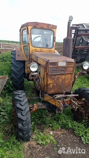 Трактор ЛТЗ Т-40, 2024