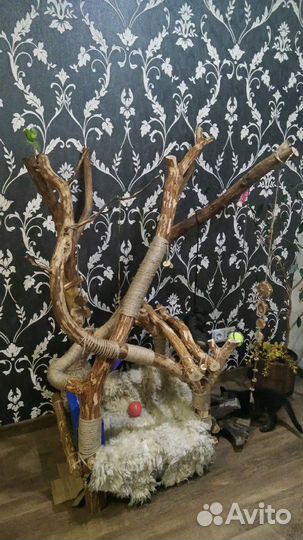 Когтеточка, домик, лежанка