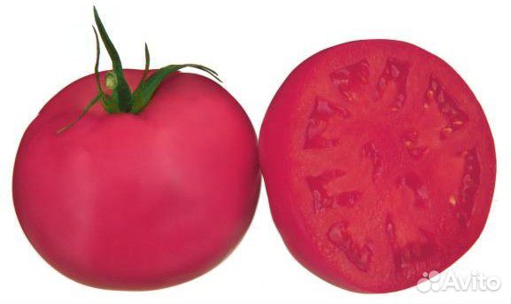 Семена Томата 