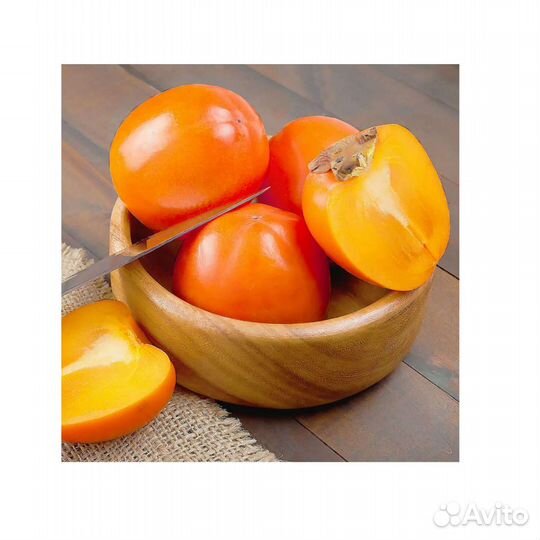 Саженцы хурмы