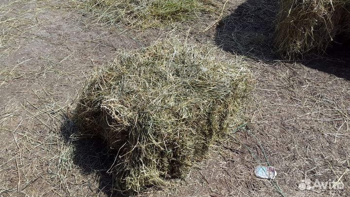 Сено в рулонах и тюках от производителя, 2022 года