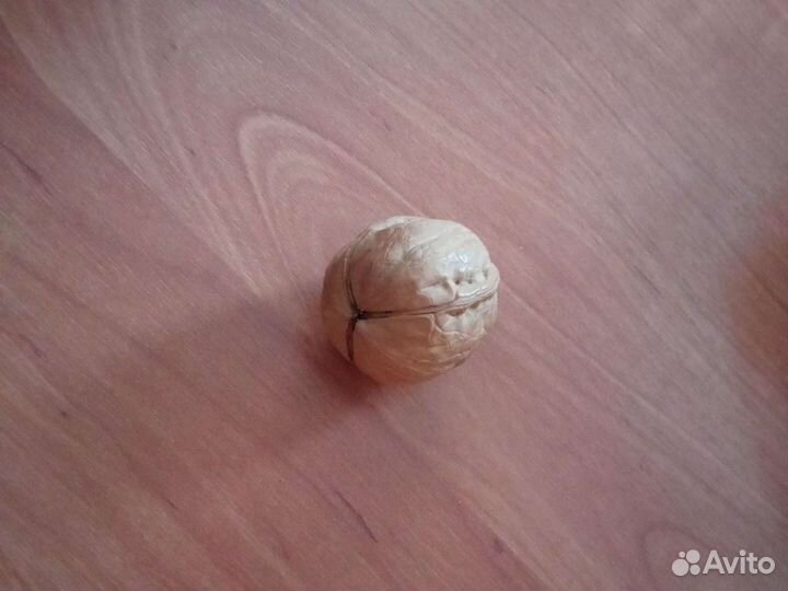 Коллекционный грецкий орех