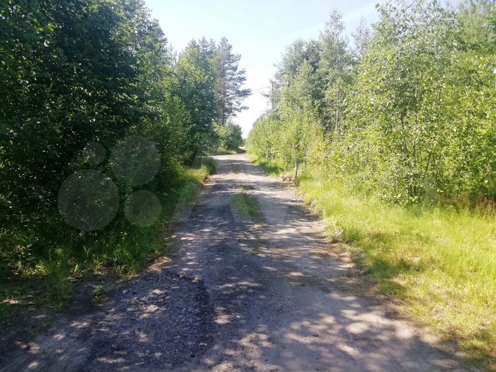 Участок 14 сот. (СНТ, ДНП)