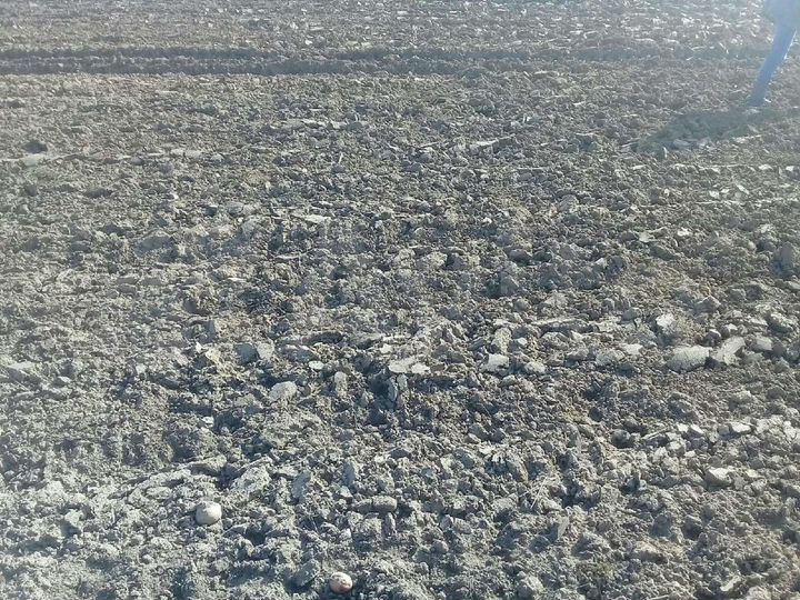 Участок 17 сот. (ИЖС)