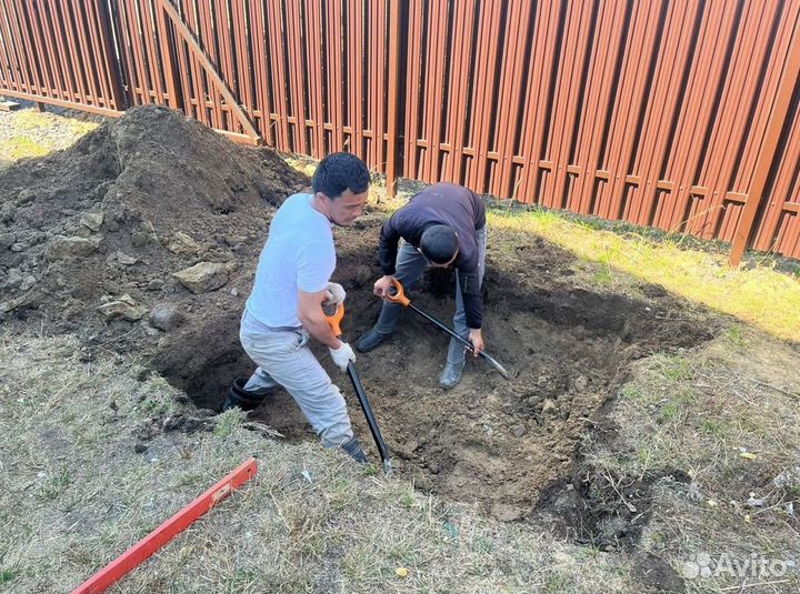 Септик Евролос био