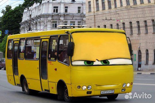 Водитель категории Д (D)