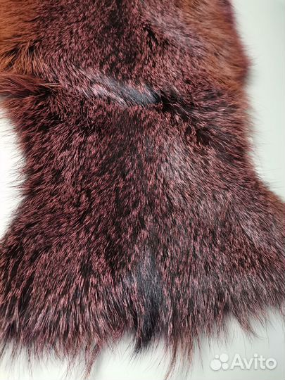 Шкурка Енота крашеного