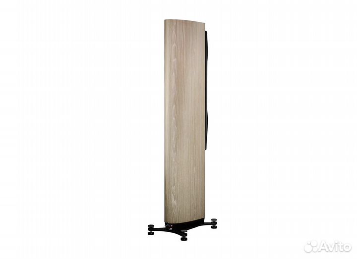 Dynaudio Confidence 50 Blonde Wood