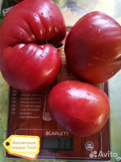 Семена томатов