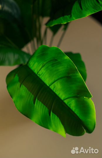 Искусственное дерево, растение, Стрелиция, Шефлера