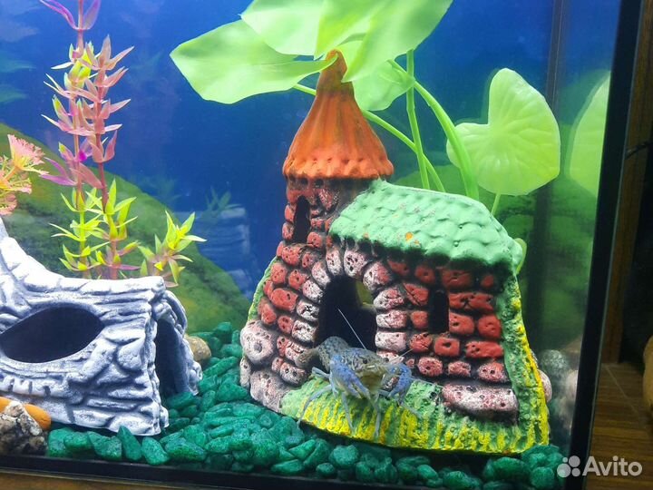 Мраморный рак