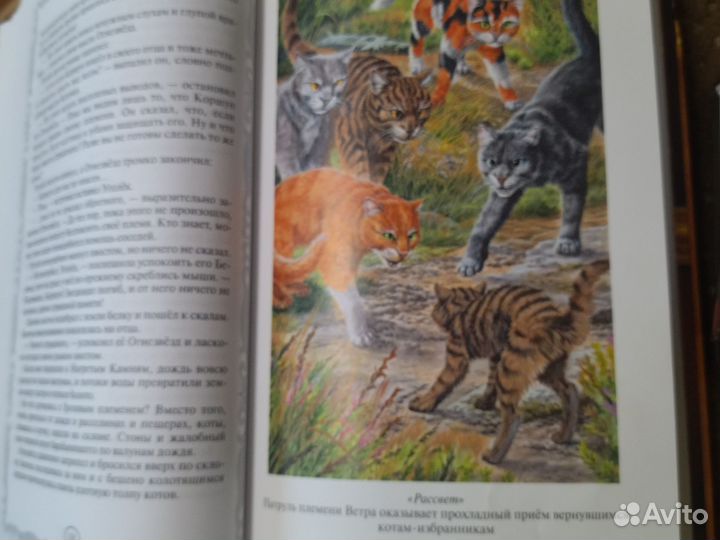 Коты-воители золотая коллекция