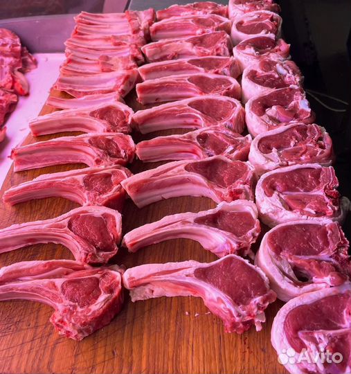 Мясо ягнятина баранина бараны