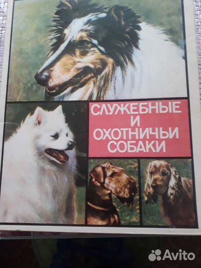 Набор спичек, СССР