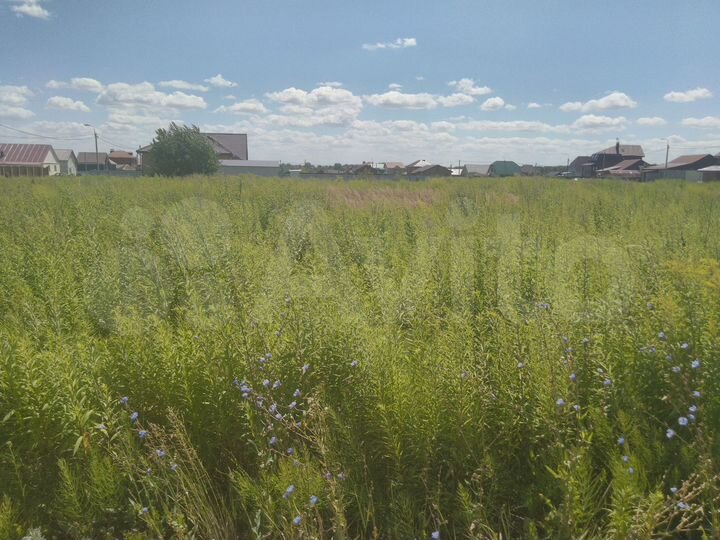 Участок 15 сот. (ИЖС)