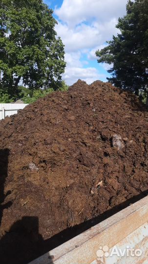 Навоз коровий