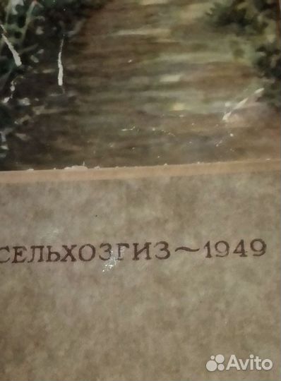 Редкая ретро- книга 1949 год. Цветоводство