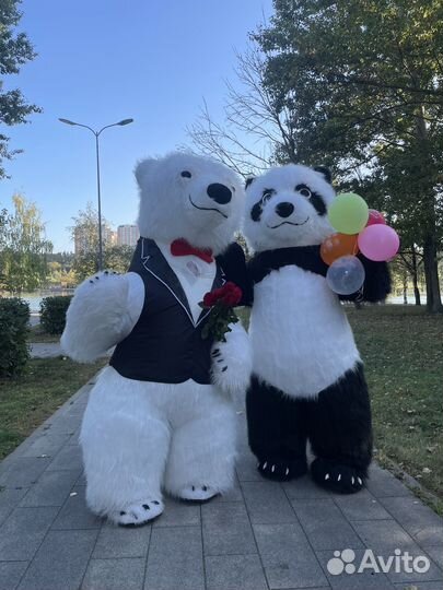 Поздравление от Белого Медведя; Панды