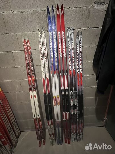 Беговые лыжи Fisher, Atomic, Madshus