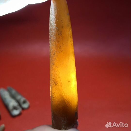 Окаменелости. Белемниты. с.Поддубное