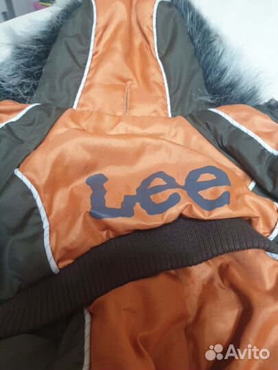 Одежда для маленьких собак