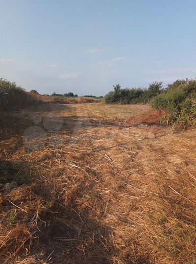 Участок 16 сот. (ИЖС)