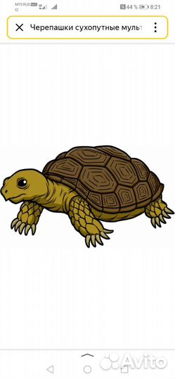 Черепашки