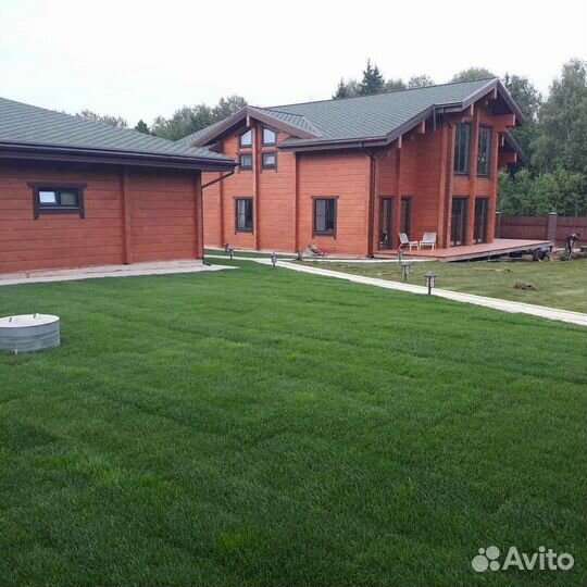 Рулонный газон /продажа/укладка