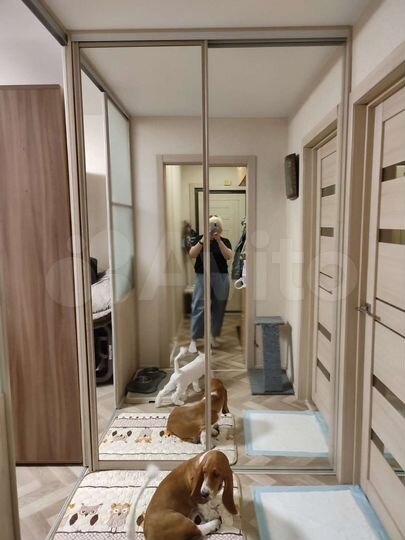 2-к. квартира, 43 м², 1/5 эт.