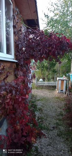 Дача 25 м² на участке 10 сот.