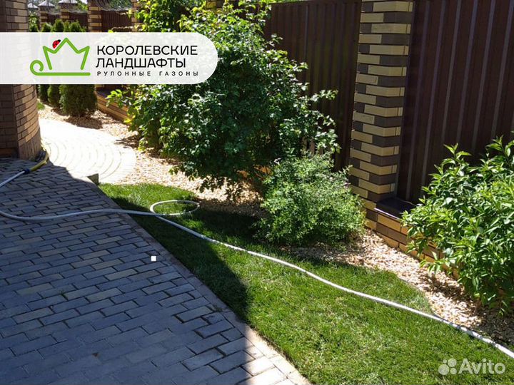 Рулонный газон