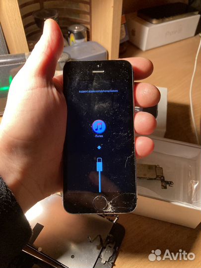 Телефон iPhone 5s