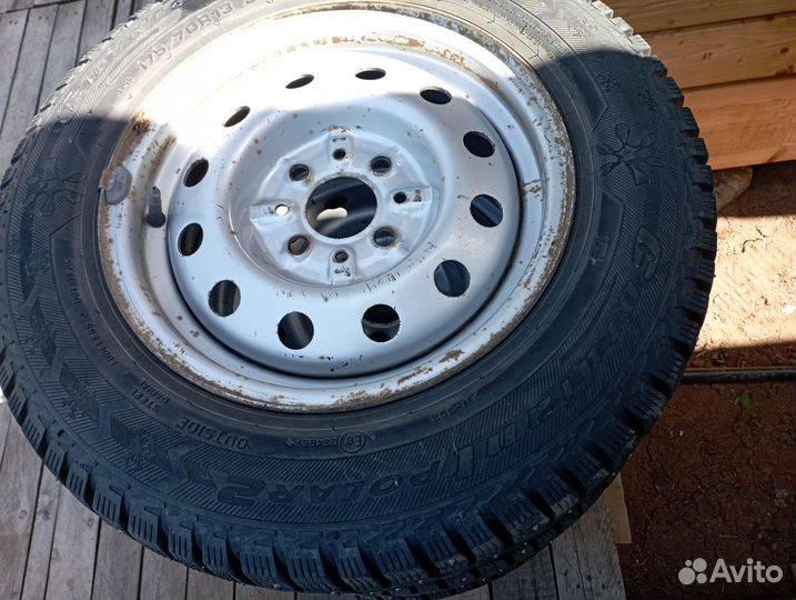 Cordiant Polar 2 175/70 R13