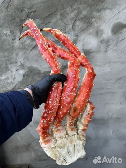 Клешни камчатского краба Л4