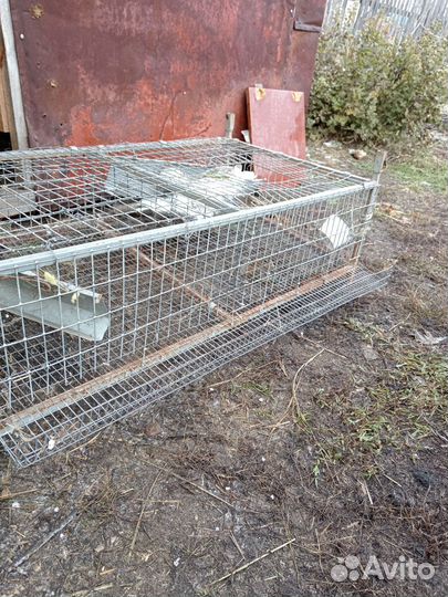 Клетки для перепелов бу