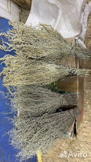 Банные веники