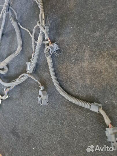 Проводка парктроника задняя Volkswagen Tiguan 1