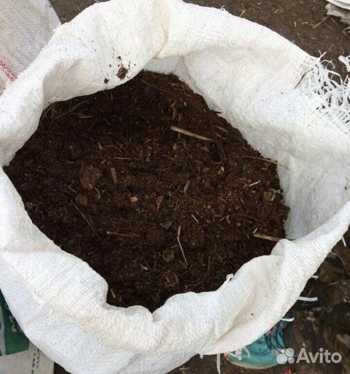 Навоз перегной коровий