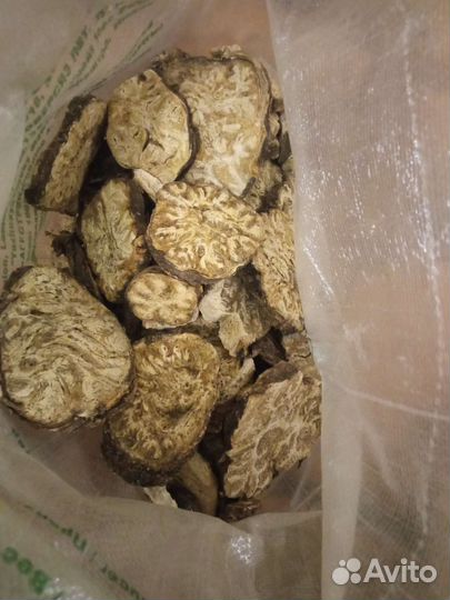 Омик (Ферула джунгарская)